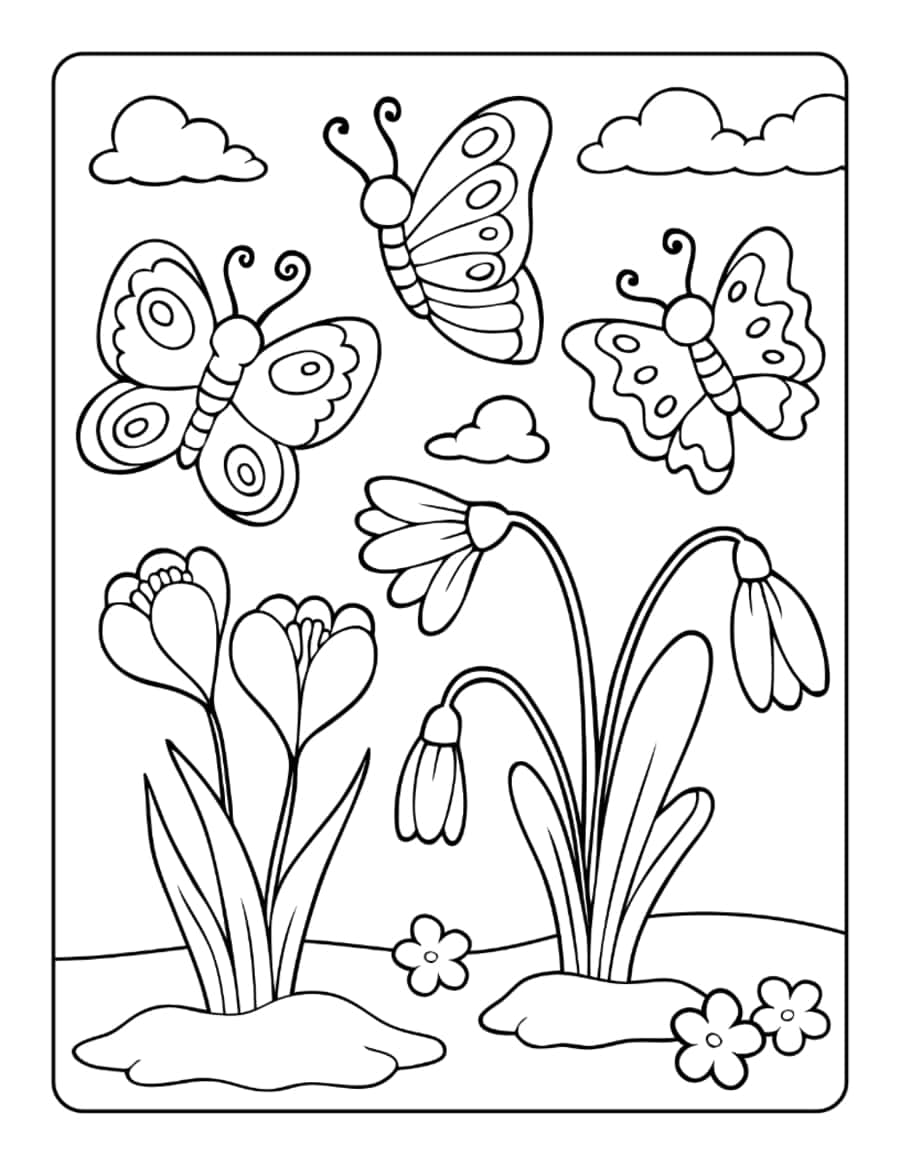 Butterfly Cartoon Spring Flowers Tracing Worksheets Pdf Free Vectors